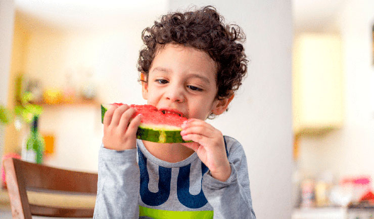 Forneça alimentos nutritivos e limite os 